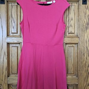 New York & Company Pink Dress